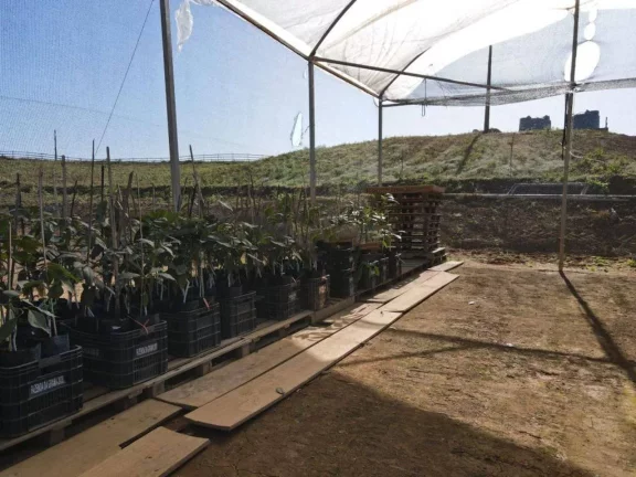 Fazenda à Venda, 4.463.400 m² em Zona Rural - Maria Da Fé