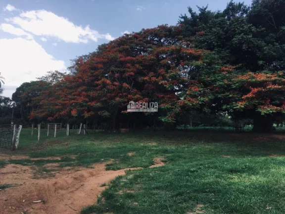 Imagem Oportunidade! Fazenda à venda em Conceição das Alagoas