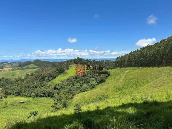 Imagem Terreno à venda, 20000 m² por R$ 400.000,00 - São Mateus - Camanducaia/MG