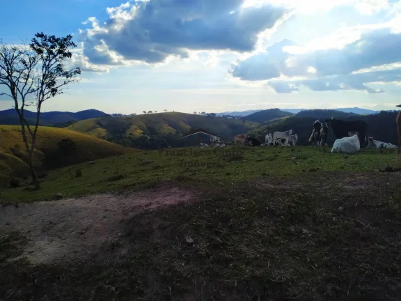 Imagem Fazenda à venda no bairro Catioca - Cunha/SP