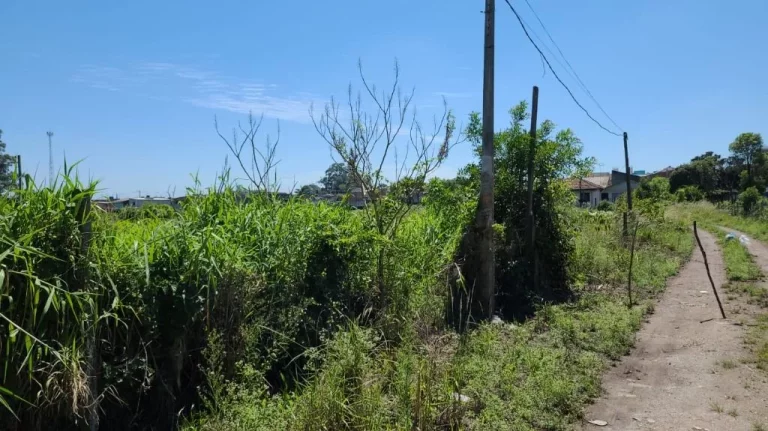 Imagem Área à venda, 15000 m² por R$ 4.530.000,00 - Caxangá - Suzano/SP