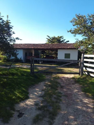 Imagem Fazenda à Venda em Faina - 237 Alqueires de Oportunidade!