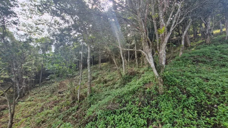 Imagem Terreno à Venda na Praia da Silveira em Garopaba-SC - Vista para a Lagoa da Ferrugem!