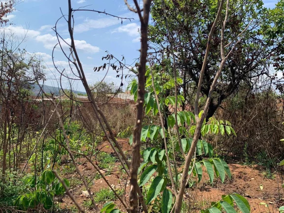 Imagem EXCELENTE LOTE DE 360 M², EM MATEUS LEME!
