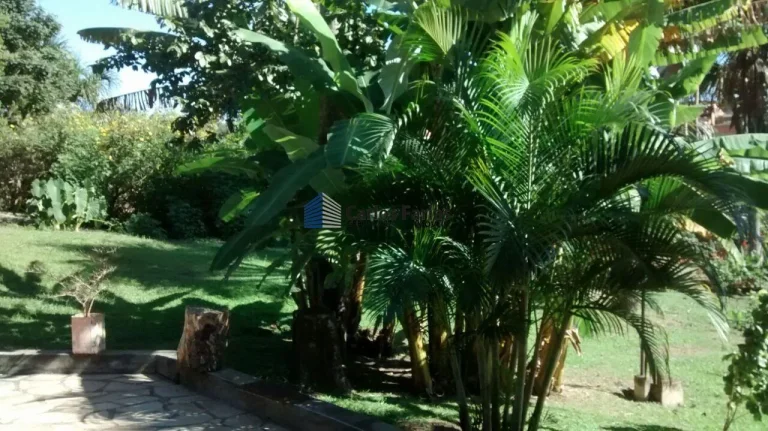 Imagem Casa em Condomínio para Venda em Brasília, Setor Habitacional Arniqueira (Águas Claras), 7 dormitórios, 4 suítes, 8 banheiros, 6 vagas