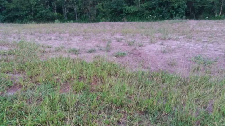 Imagem Terreno à venda, 264 m² por R$ 250.000,00 - Residencial Novo Horizonte - Mogi das Cruzes/SP