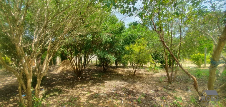 Imagem SITIO RURAL em ESMERALDAS - MG, VARGEM BENTO DA COSTA