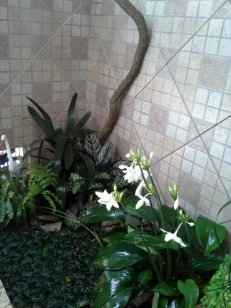 Imagem VENDO ESTA LINDA CASA EM NOVA FRIBURGO. BAIRRO: CHÁCARA DO PARAÍSO