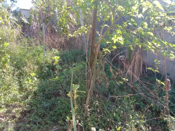 Imagem Terreno à venda, 300 m² por R$ 250.000,00 - Jardim Ikeda - Suzano/SP