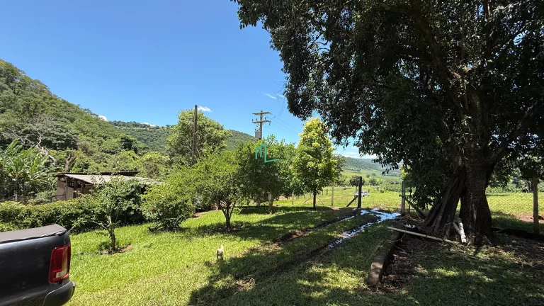 Imagem SÍTIO DE 24,99 ALQUEIRES (60,49 hectares) em RIFAINA/SP COM ESTRUTURA COMPLETA, 03 CASAS SIMPLES, E MUITA ÁGUA..