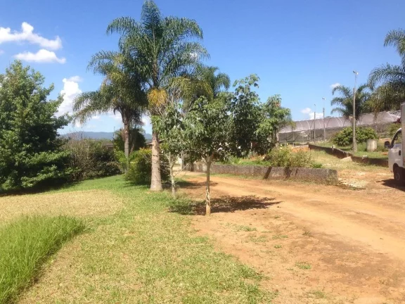 Imagem Sítio rural à venda, Jardim Nova Ipelândia, Suzano, 2000 metros da Rodovia Índio Tibiriçá.