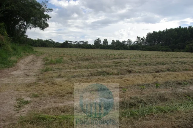 Imagem Fazenda 54 alqueires vende, casa, água, energia, plantação de café em São Sebastião do Paraíso - Minas Gerais