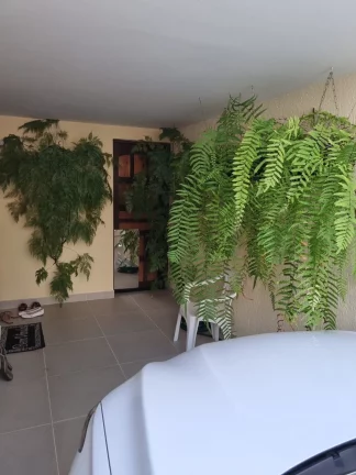 Imagem VENDA CASA TERREA NO BAIRRO CAMPO CAMPO