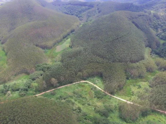 Imagem Fazenda para Venda por R$3.000.000,00 - Pinheirinho, Tremembé / SP - Cód. BDI24610