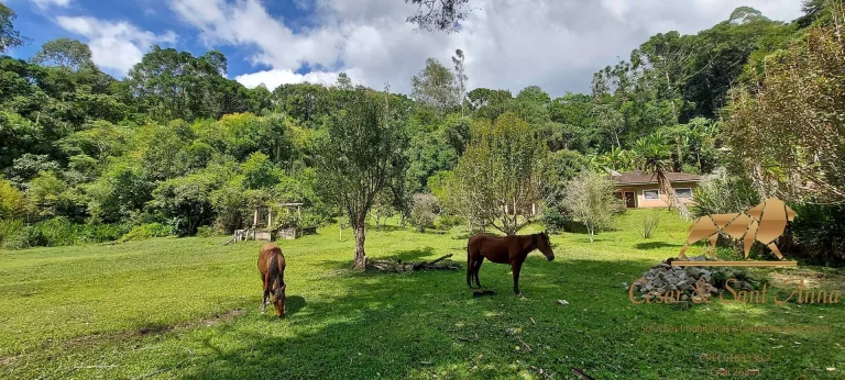 Imagem Chácara com 104.000 m²