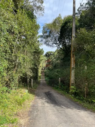 Imagem CHÁCARA à venda com 20445.4m² por R$ 1.500.000,00 no bairro Alphaville Graciosa - PINHAIS / PR