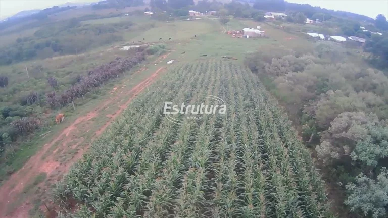 Imagem Terreno amplo no Passo das Tropas