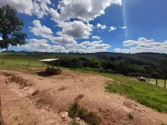 Imagem Fazenda à venda em Ibertioga, ZONA RURAL, 148ha