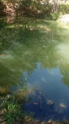 Imagem Fazenda Aconchegante à Beira do Rio do Peixe em Santa Cruz de Goiás
