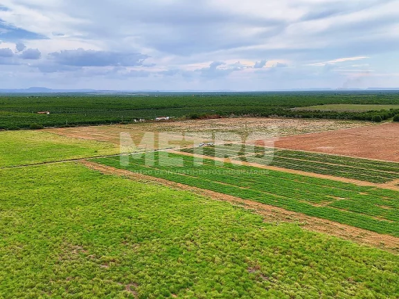 Imagem Fazenda com 116ha, Casa, Galpão, 25ha plantados e mais 32 prontos para plantar