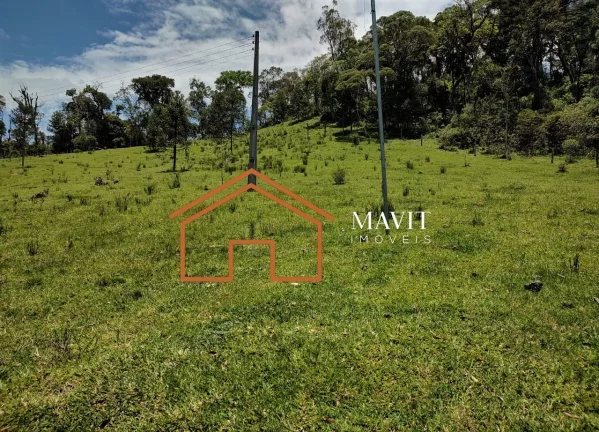 Imagem SITIO RURAL em CAMPO ALEGRE - SC, Estrada Laranjeiras