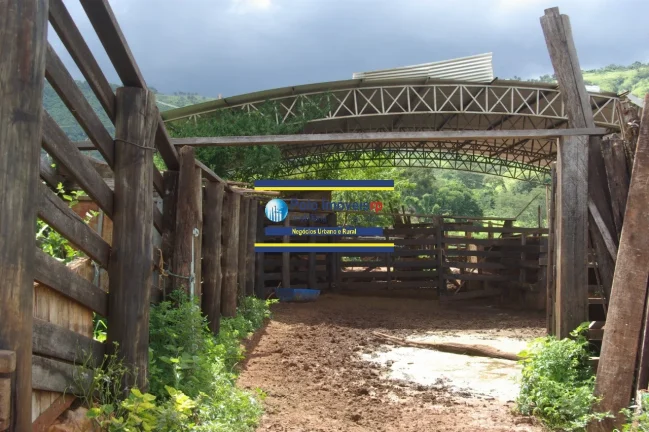 Imagem Fazenda 40 alqueires com estrutura, casa, água, energia, altitude para plantar café e gado, cidade Santo Antônio da Alegria - SP