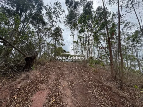 Imagem Terreno de 20.000m² com vistão à venda em Domingos Martins
