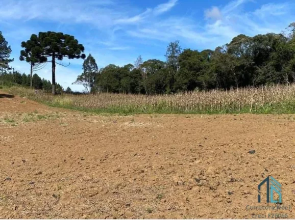 Imagem Chácara a venda, com 02 excelente Barracões novos, em Mandirituba/Tijucas do Sul PR