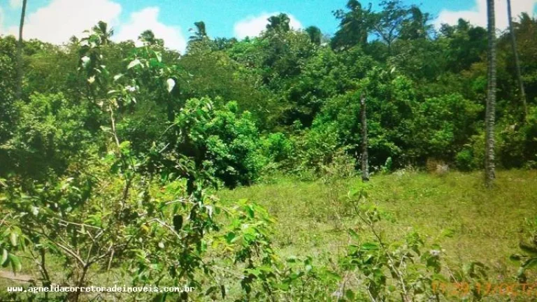 Imagem Fazenda para Venda em Extremoz, capim -extremoz, 3 dormitórios, 1 suíte, 2 banheiros, 6 vagas