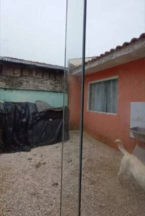 Imagem Casa com 3 Quartos na Fazenda Rio Grande - Gralha Azul