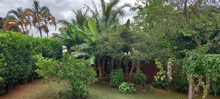 Imagem CHÁCARA COMPLETA - CHÁCARAS RECREIO ALVORADA - HORTOLÂNDIA
