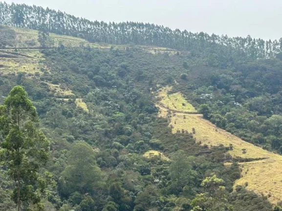Imagem FAZENDA COM 87 HECTARES - GUARATINGUETÁ - SP