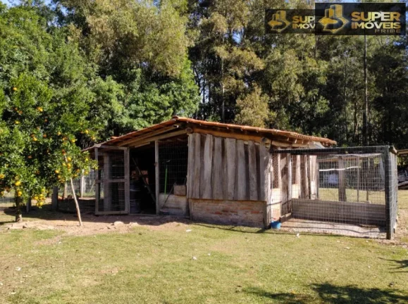 Imagem Sítio para Venda em Centro Capão do Leão-RS - 2664