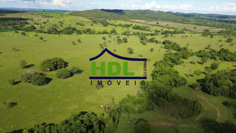Imagem Fazenda de 1ª com 155 Hectares prox. à Goiânia.