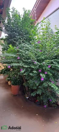 Imagem Casa térrea, na vila progresso, 3 dormi, 1 suíte, sala 2 emb., quintal