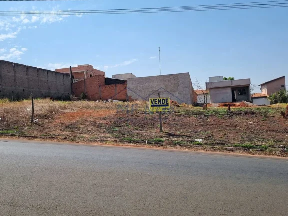 Terreno Padrão