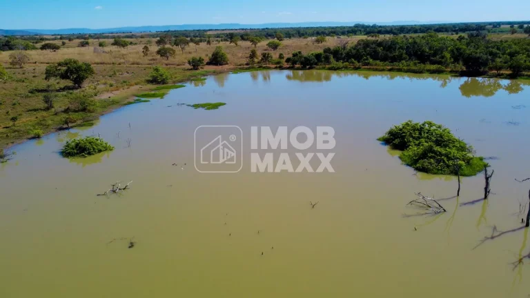Imagem Fazenda a venda em Formosa: 281 hectares, água perene, dupla aptidão - escriturada e registrada.
