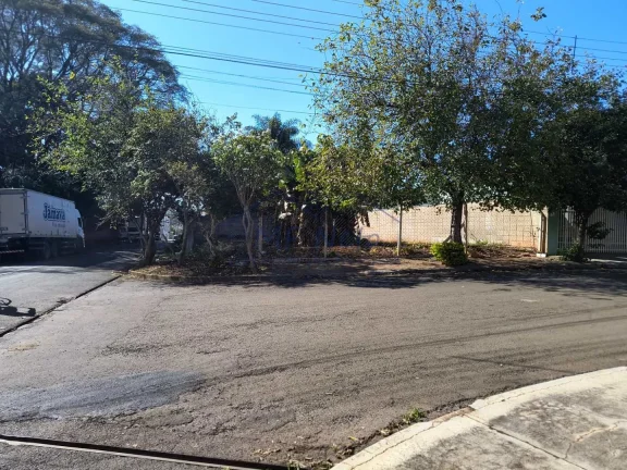Imagem Terreno Padrão