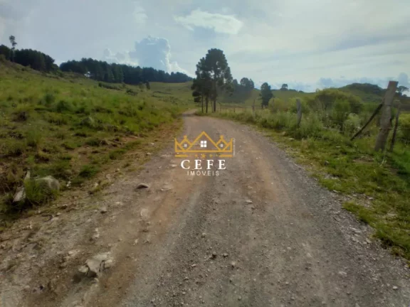 Imagem Chácara - Sítio com 2 Dormitorio(s) localizado(a) no bairro Zona Rural em São Francisco de Paula / RIO GRANDE DO SUL Ref.:1519