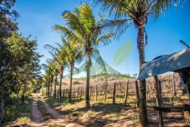 Imagem Área Industrial à Venda na Beira da Rodovia Dom Pedro I – Atibaia