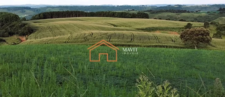 Imagem SITIO RURAL em CAMPO BELO DO SUL - SC, interior