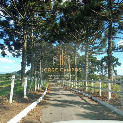 Imagem FA-24163 - FAZENDA À VENDA EM MINDURI/MG