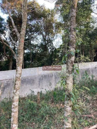 Imagem Lindo Terreno à venda, 1575 m² por R$ 950.000 - Suíça da Cantareira - Mairiporã/SP