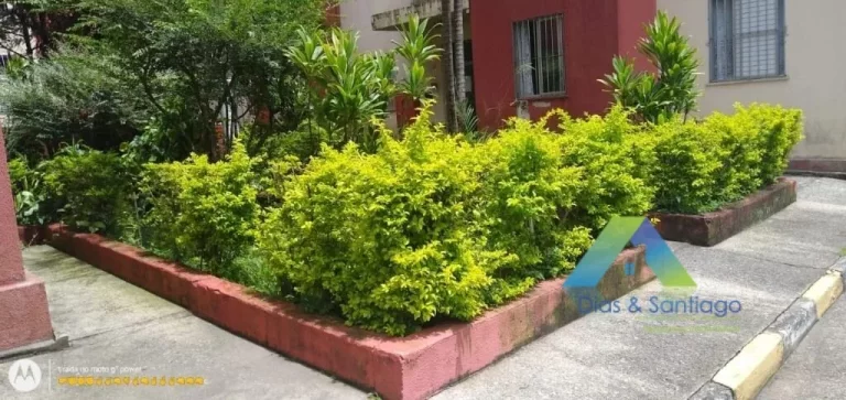 Imagem BAETA NEVES Apartamento 53M², 2 dormitórios 1 vaga ótima localização e valor !!!