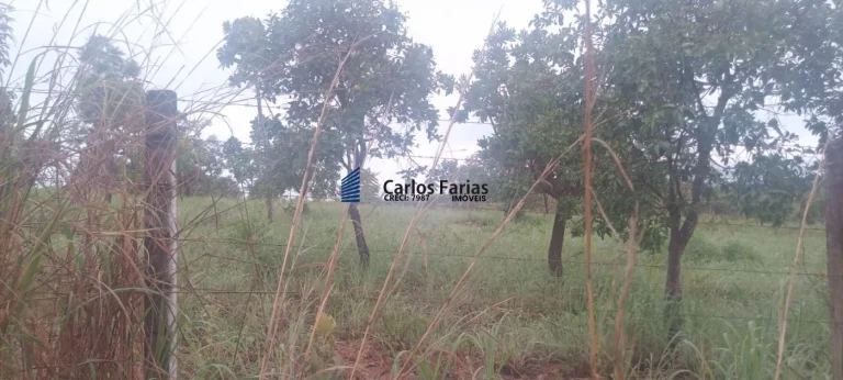Imagem Chácara para Venda em Brasília, Setor Habitacional Tororó (Jardim Botânico), 1 dormitório, 1 banheiro, 2 vagas