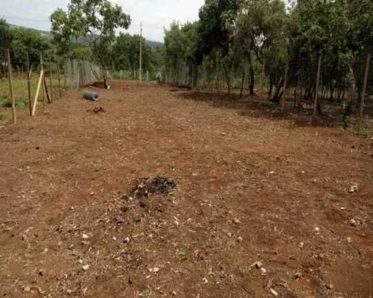 Imagem FINANCIAMENTO PRÓPRIO, SEM COMPROVAÇÃO DE RENDA.