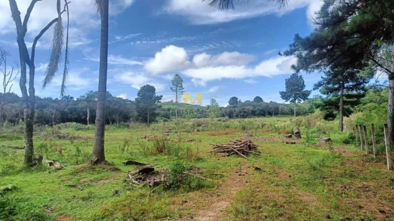 Imagem Chácara à venda no bairro Capoeira dos Dinos em Piraquara!!!