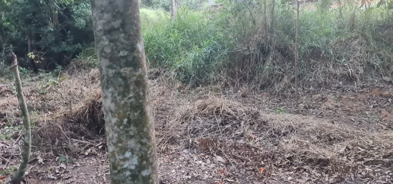 Imagem Terreno à venda em condomínio de alto padrão em Itu-SP, com 875m² de área