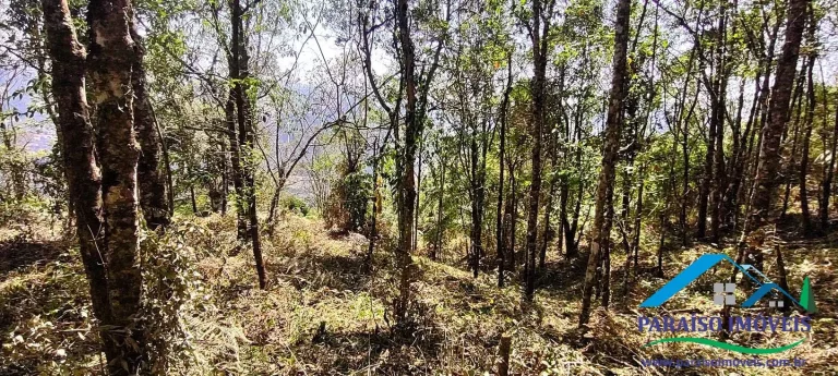 Imagem Terreno à venda no Bairro dos Venâncios, junto à Pedra do Barnabé