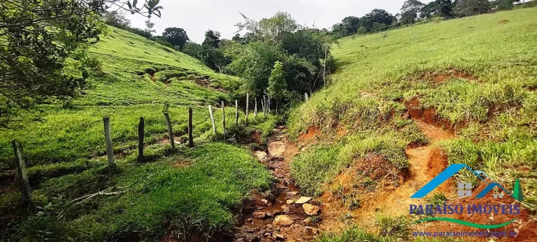 Imagem Refúgio Encantador: Sua Propriedade Rural de Sonho em Minas Gerais.